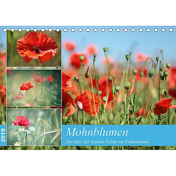 Mohnblumen (Tischkalender 2019 DIN A5 quer), Thomas Deter