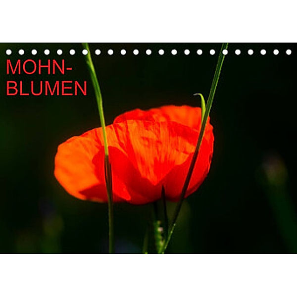Mohnblumen (Tischkalender 2022 DIN A5 quer), Thomas Jäger