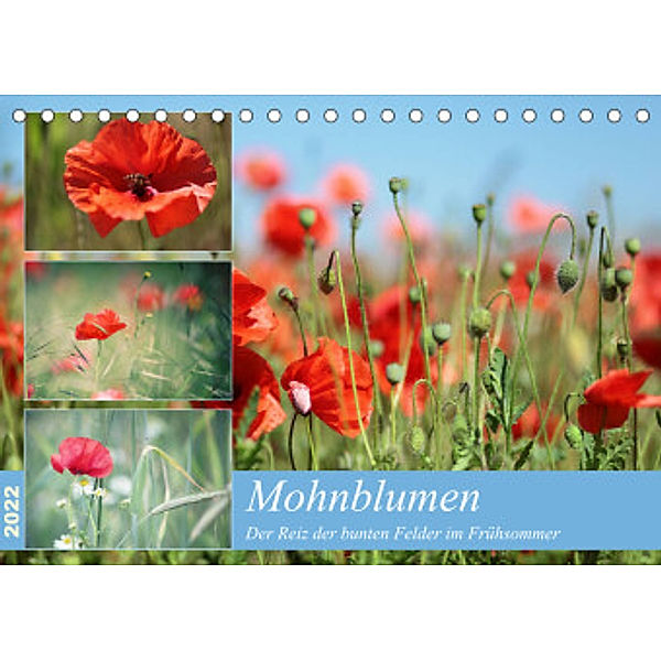Mohnblumen (Tischkalender 2022 DIN A5 quer), Thomas Deter