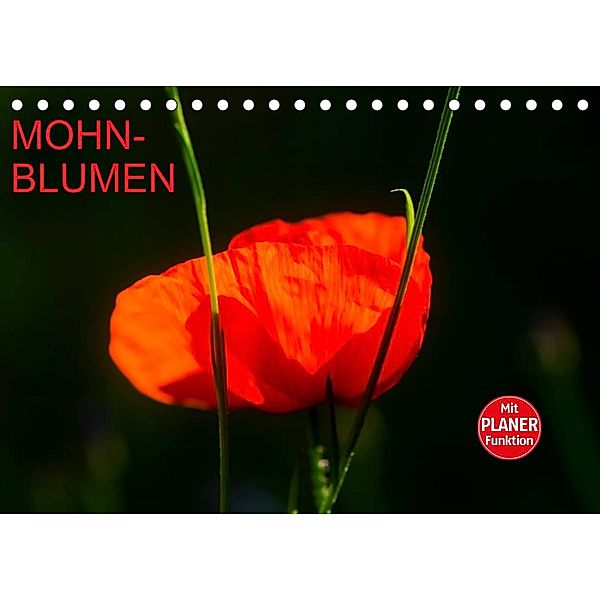 Mohnblumen (Tischkalender 2023 DIN A5 quer), Anette/Thomas Jäger