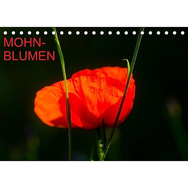 Mohnblumen (Tischkalender 2023 DIN A5 quer), Thomas Jäger