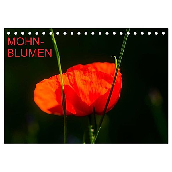 Mohnblumen (Tischkalender 2024 DIN A5 quer), CALVENDO Monatskalender, Thomas Jäger