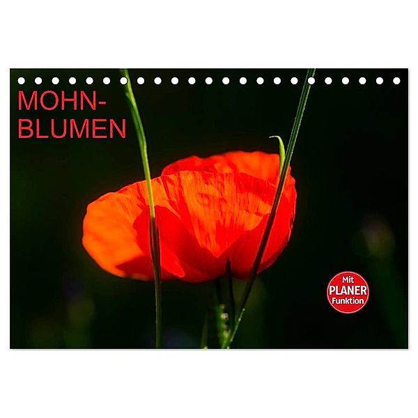 Mohnblumen (Tischkalender 2024 DIN A5 quer), CALVENDO Monatskalender, Anette/Thomas Jäger