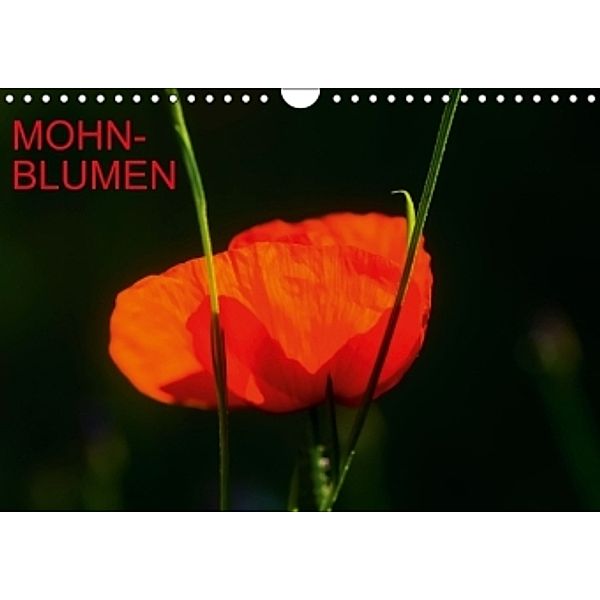 Mohnblumen (Wandkalender 2014 DIN A4 quer), Thomas Jäger