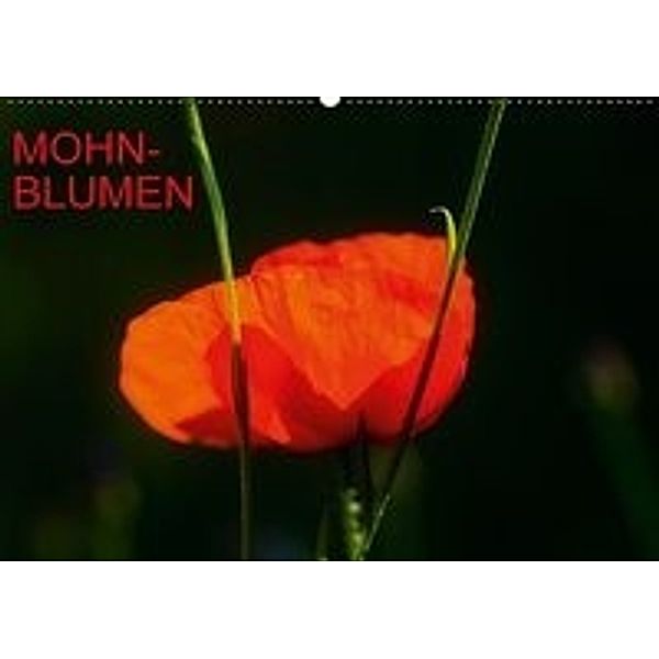 Mohnblumen (Wandkalender 2016 DIN A2 quer), Thomas Jäger