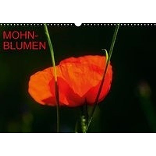 Mohnblumen (Wandkalender 2016 DIN A3 quer), Thomas Jäger