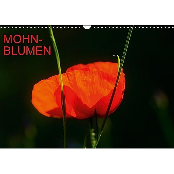Mohnblumen (Wandkalender 2017 DIN A3 quer), Thomas Jäger