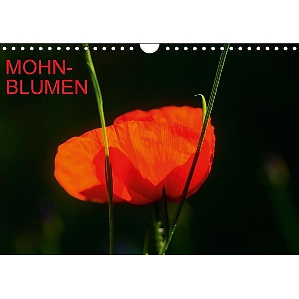 Mohnblumen (Wandkalender 2017 DIN A4 quer), Thomas Jäger