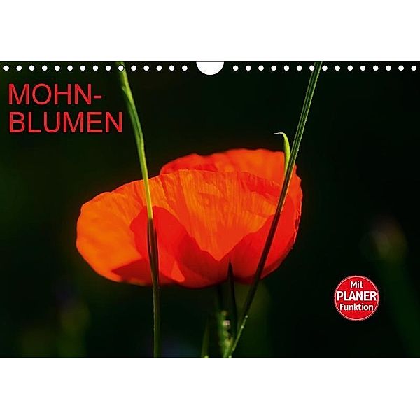 Mohnblumen (Wandkalender 2017 DIN A4 quer), Anette Jäger