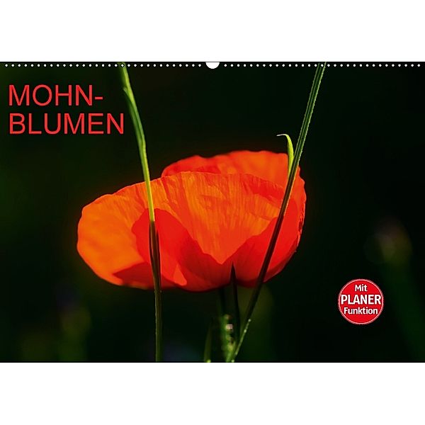 Mohnblumen (Wandkalender 2018 DIN A2 quer), Anette Jäger