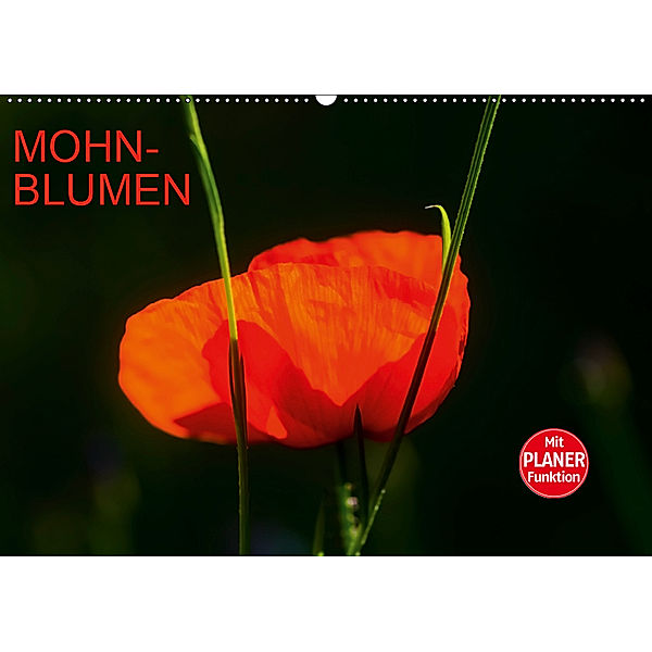 Mohnblumen (Wandkalender 2019 DIN A2 quer), Anette Jäger