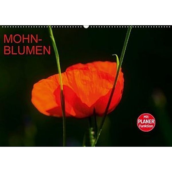 Mohnblumen (Wandkalender 2020 DIN A2 quer), Anette/Thomas Jäger