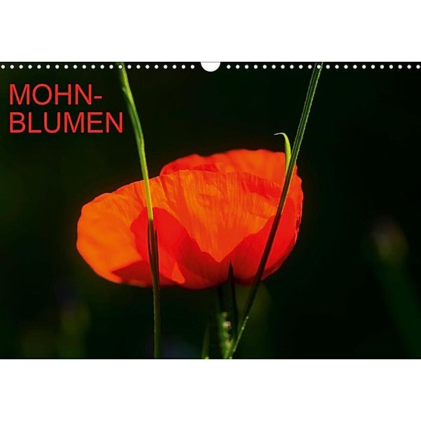 Mohnblumen (Wandkalender 2020 DIN A3 quer), Thomas Jäger