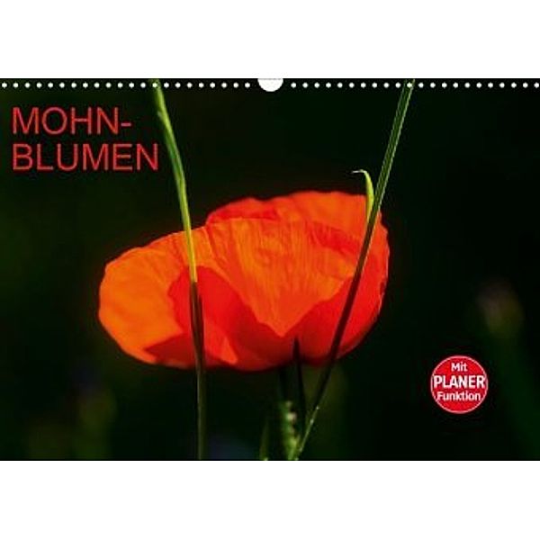 Mohnblumen (Wandkalender 2020 DIN A3 quer), Anette/Thomas Jäger