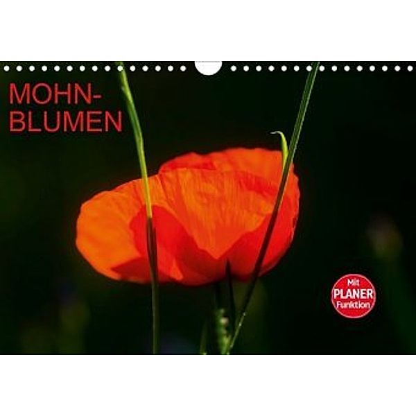 Mohnblumen (Wandkalender 2020 DIN A4 quer), Anette/Thomas Jäger