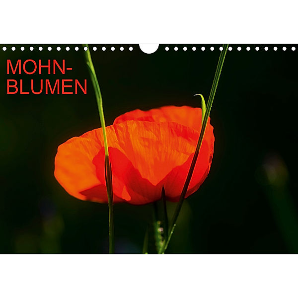Mohnblumen (Wandkalender 2020 DIN A4 quer), Thomas Jäger