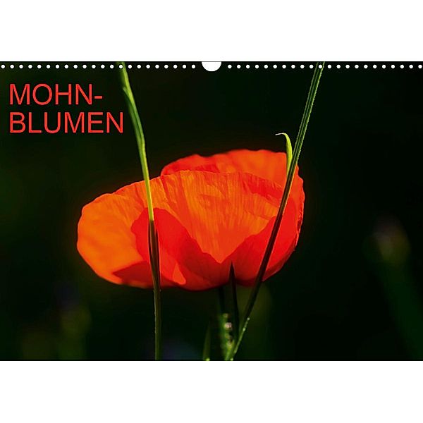 Mohnblumen (Wandkalender 2021 DIN A3 quer), Thomas Jäger