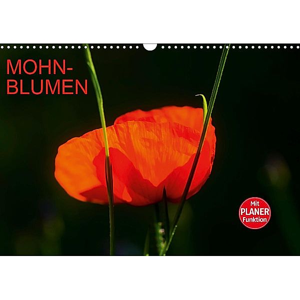 Mohnblumen (Wandkalender 2021 DIN A3 quer), Anette/Thomas Jäger