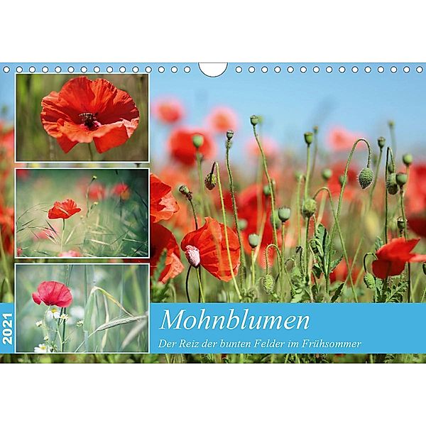 Mohnblumen (Wandkalender 2021 DIN A4 quer), Thomas Deter