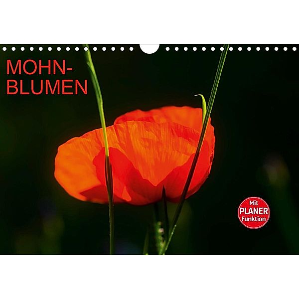 Mohnblumen (Wandkalender 2021 DIN A4 quer), Anette/Thomas Jäger