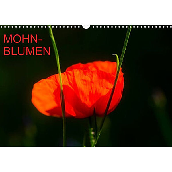 Mohnblumen (Wandkalender 2022 DIN A3 quer), Thomas Jäger