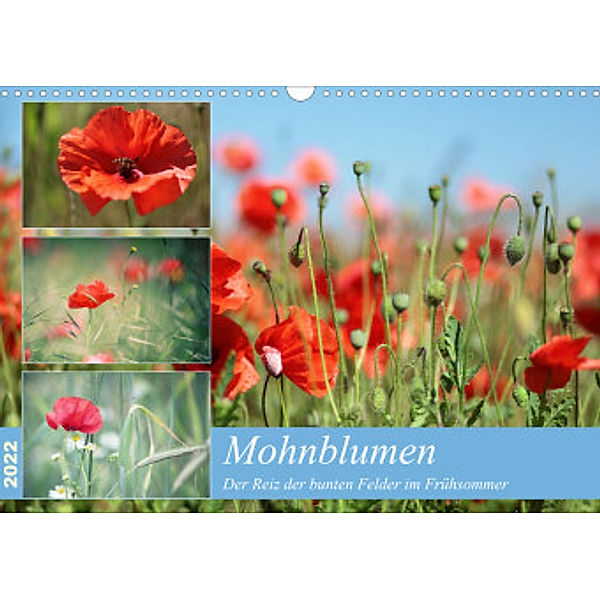 Mohnblumen (Wandkalender 2022 DIN A3 quer), Thomas Deter