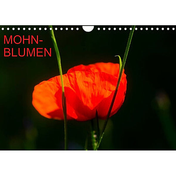 Mohnblumen (Wandkalender 2022 DIN A4 quer), Thomas Jäger