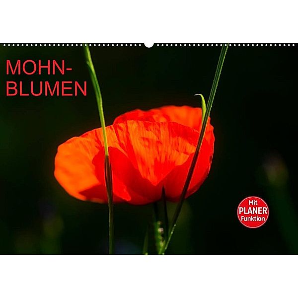 Mohnblumen (Wandkalender 2023 DIN A2 quer), Anette/Thomas Jäger