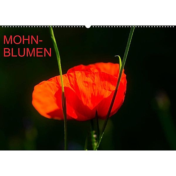 Mohnblumen (Wandkalender 2023 DIN A2 quer), Thomas Jäger