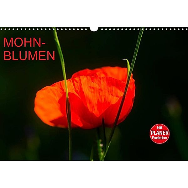 Mohnblumen (Wandkalender 2023 DIN A3 quer), Anette/Thomas Jäger