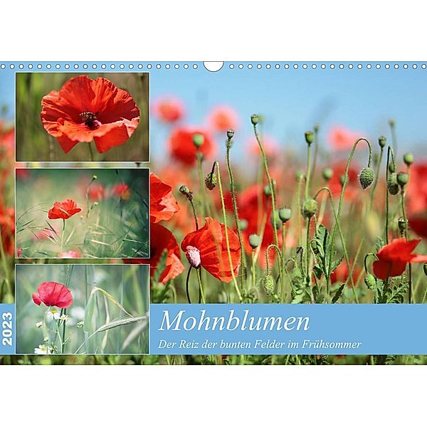 Mohnblumen (Wandkalender 2023 DIN A3 quer), Thomas Deter