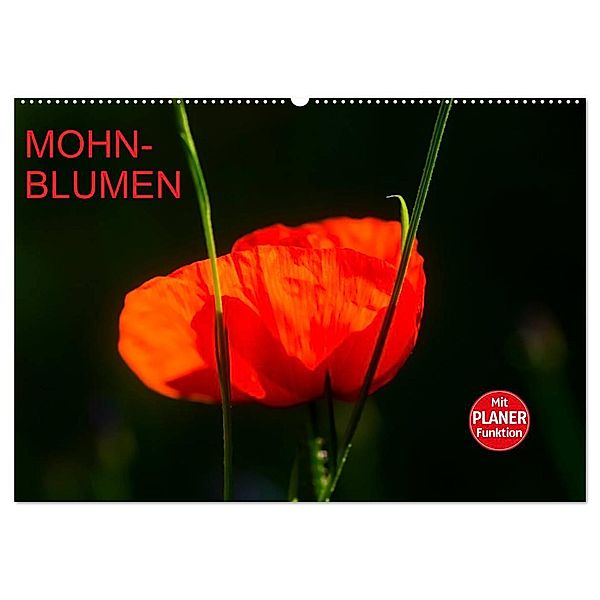 Mohnblumen (Wandkalender 2025 DIN A2 quer), CALVENDO Monatskalender, Calvendo, Anette/Thomas Jäger