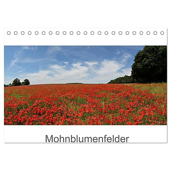 Mohnblumenfelder (Tischkalender 2024 DIN A5 quer), CALVENDO Monatskalender, Erwin Altmeier