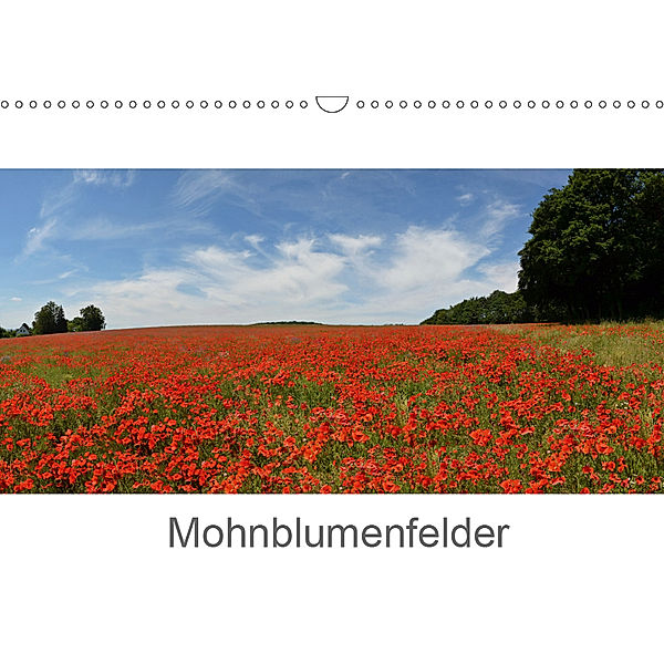 Mohnblumenfelder (Wandkalender 2019 DIN A3 quer), Erwin Altmeier