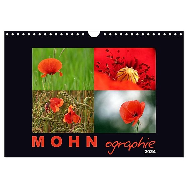 MOHNographie (Wandkalender 2024 DIN A4 quer), CALVENDO Monatskalender, Angelika Giessl