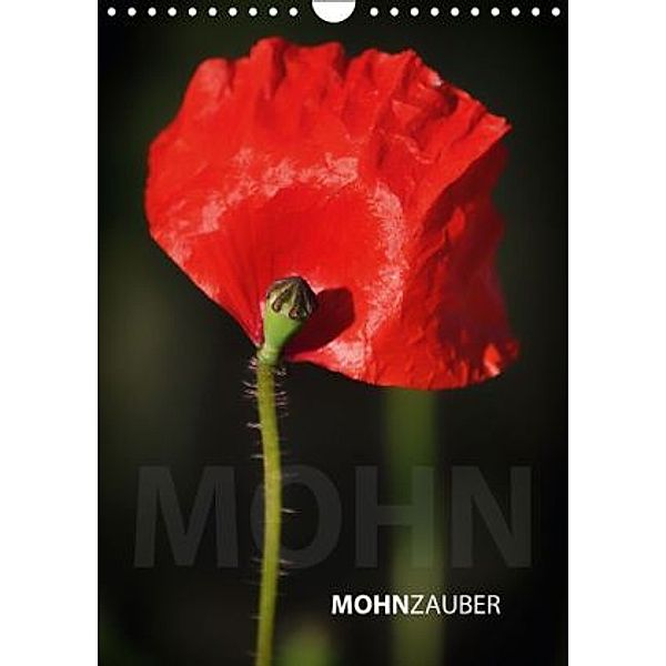 MohnZauber (Wandkalender 2016 DIN A4 hoch), Sandra Eichler