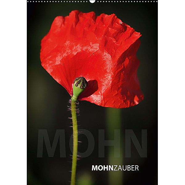 MohnZauber (Wandkalender 2019 DIN A2 hoch), Sandra Eichler