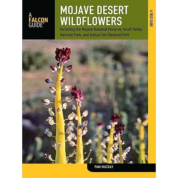 Mojave Desert Wildflowers, Pam Mackay