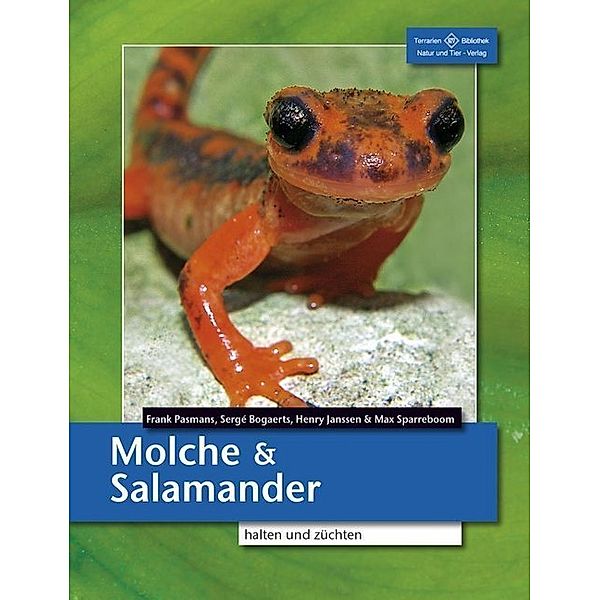 Molche und Salamander, Frank Pasmans, Sergé Bogaerts, Henry Janssen, Max Sparreboom