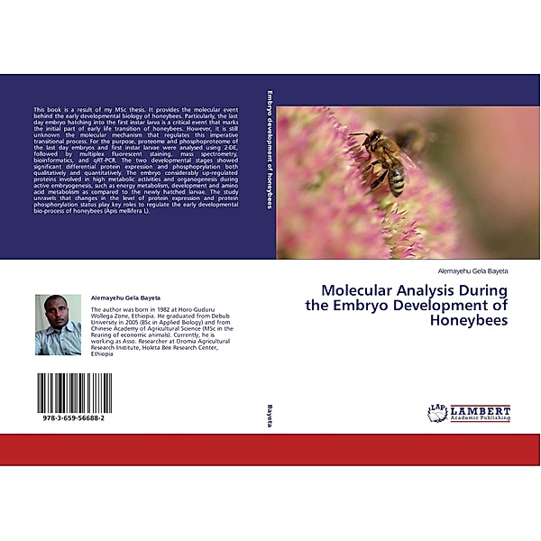 Molecular Analysis During the Embryo Development of Honeybees, Alemayehu Gela Bayeta