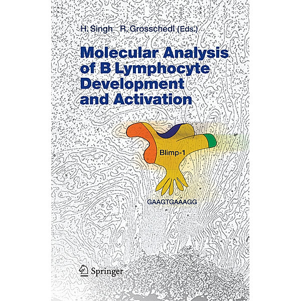 Molecular Analysis of B Lymphocyte Development and Activation