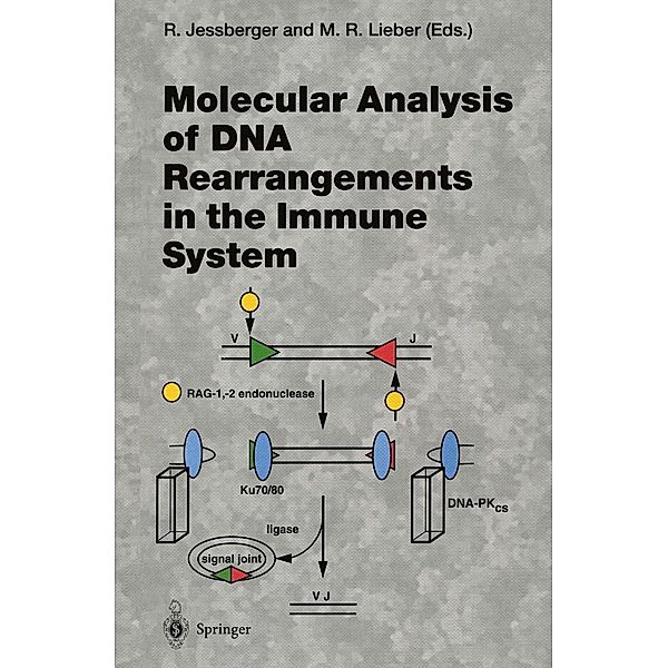 Molecular Analysis of DNA Rearrangements in the Immune System / Current Topics in Microbiology and Immunology Bd.217