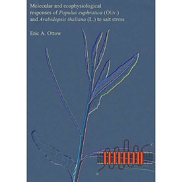 Molecular and ecophysiological responses of Populus euphratica (Oliv.) and Arabidopsis thaliana (L.) to salt stress