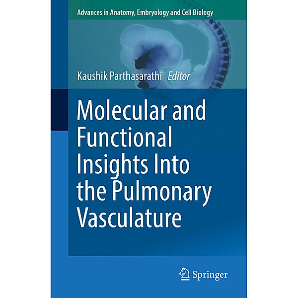 Molecular and Functional Insights Into the Pulmonary Vasculature