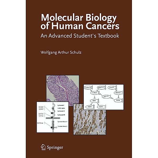 Molecular Biology of Human Cancers, Wolfgang Arthur Schulz