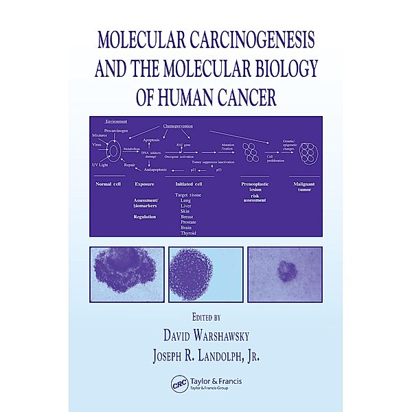 Molecular Carcinogenesis and the Molecular Biology of Human Cancer