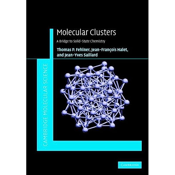 Molecular Clusters, Thomas Fehlner