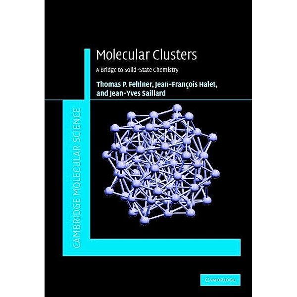 Molecular Clusters / Cambridge Molecular Science, Thomas Fehlner