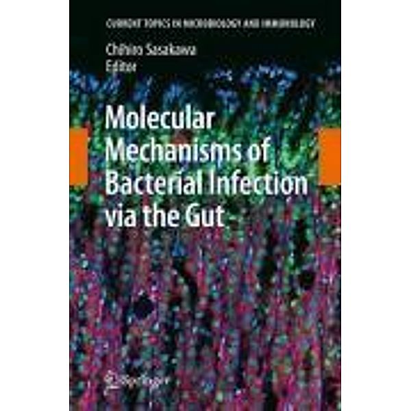 Molecular Mechanisms of Bacterial Infection via the Gut / Current Topics in Microbiology and Immunology Bd.337