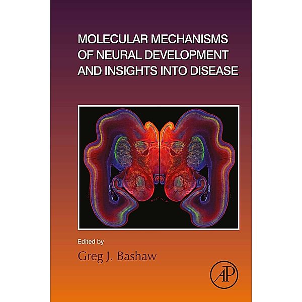 Molecular Mechanisms of Neural Development and Insights into Disease